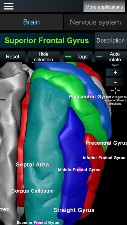 Brain and nerves (Anatomy) screenshot-4