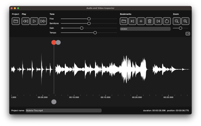 Audio and Video Inspector