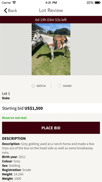 ASE Auctions Screenshot