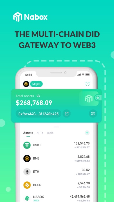 Nabox Wallet Screenshot