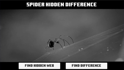 Spider Hidden Difference Screenshot