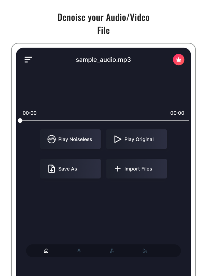 Audio Noise Reducer and Recorder