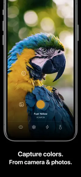 Game screenshot Cone: Color Picker & Pantone mod apk