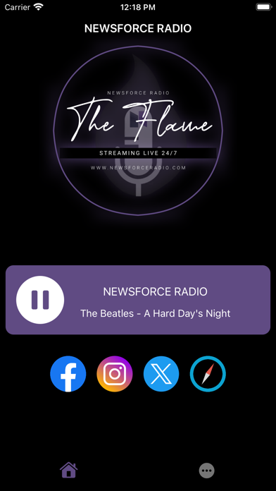 NewsForce Radio Screenshot