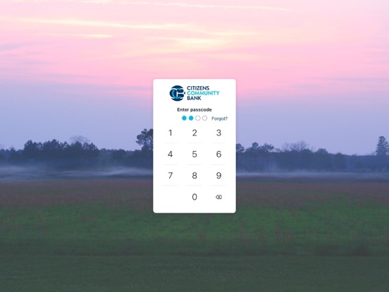 CCBGAontheGO iPad screenshot 2 - Finance app