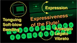 cc flute problems & solutions and troubleshooting guide - 3