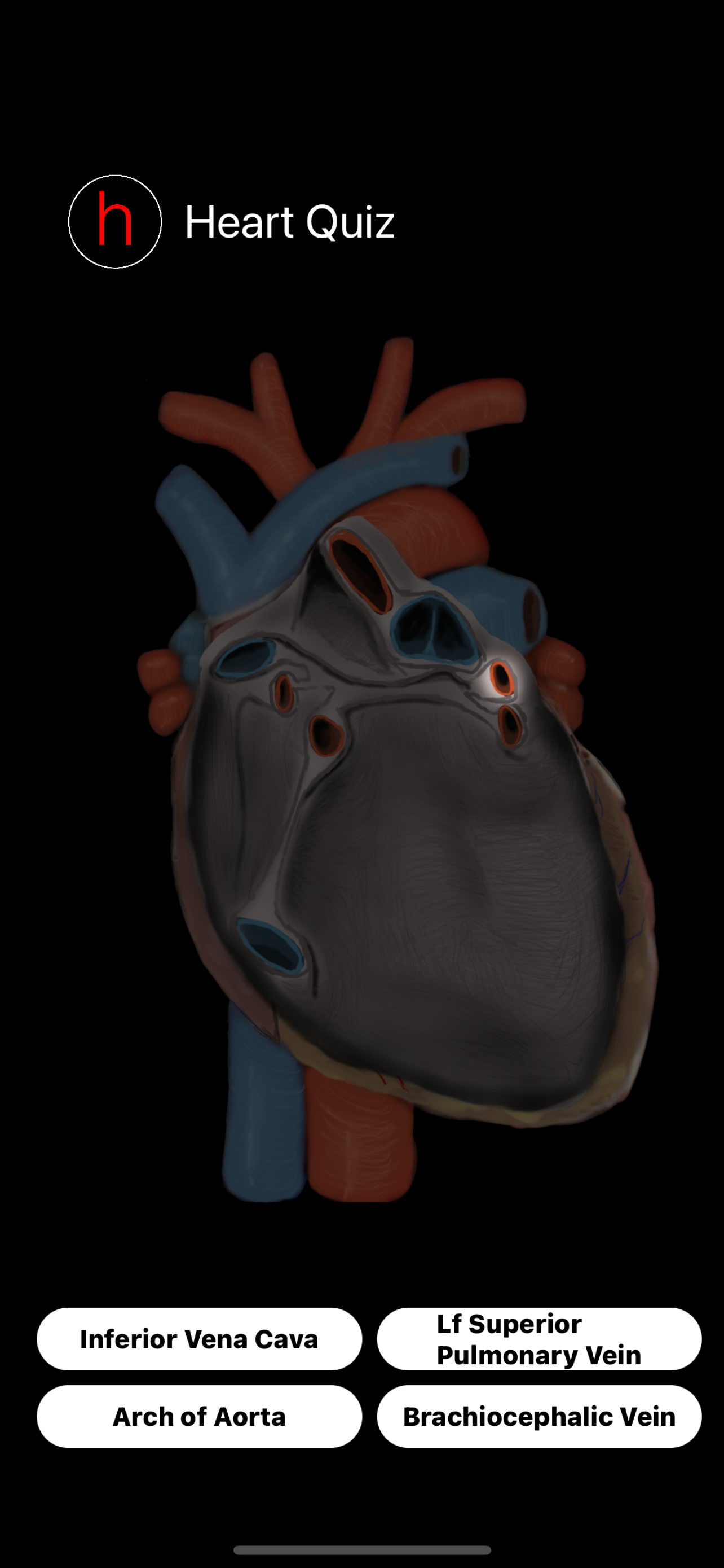 Human Heart Anatomy Quiz