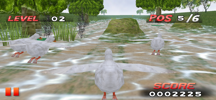 Bird Race 3D
