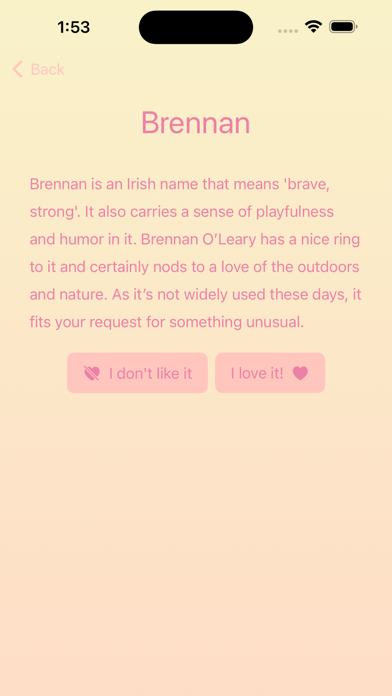 My Perfect Baby Name Screenshot