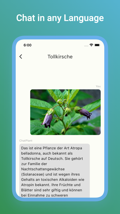 ChatPlant: AI Plant Identifier Screenshot