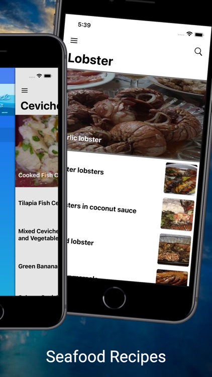 Easy and tasty seafood recipes screenshot-3