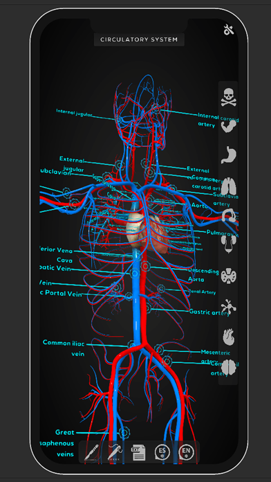 Virtual Medical Anatomy Screenshot