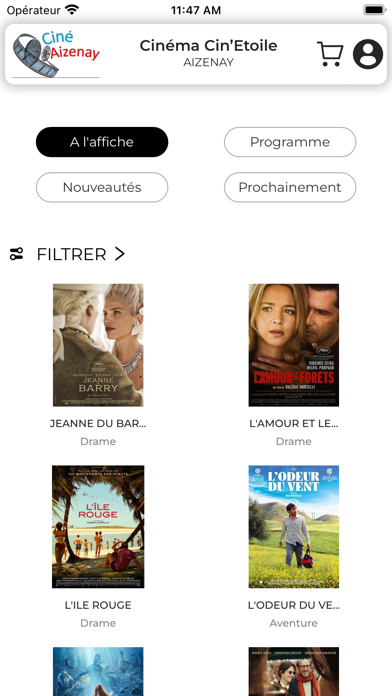 Aizenay Cinétoile Screenshot