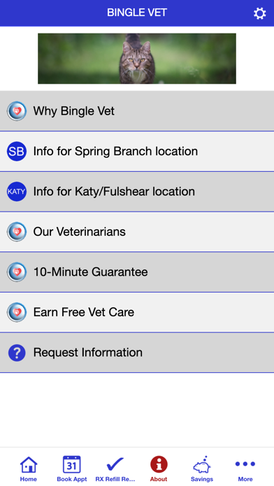 Bingle Vet Screenshot