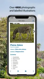 stuarts’ african mammals iphone screenshot 3