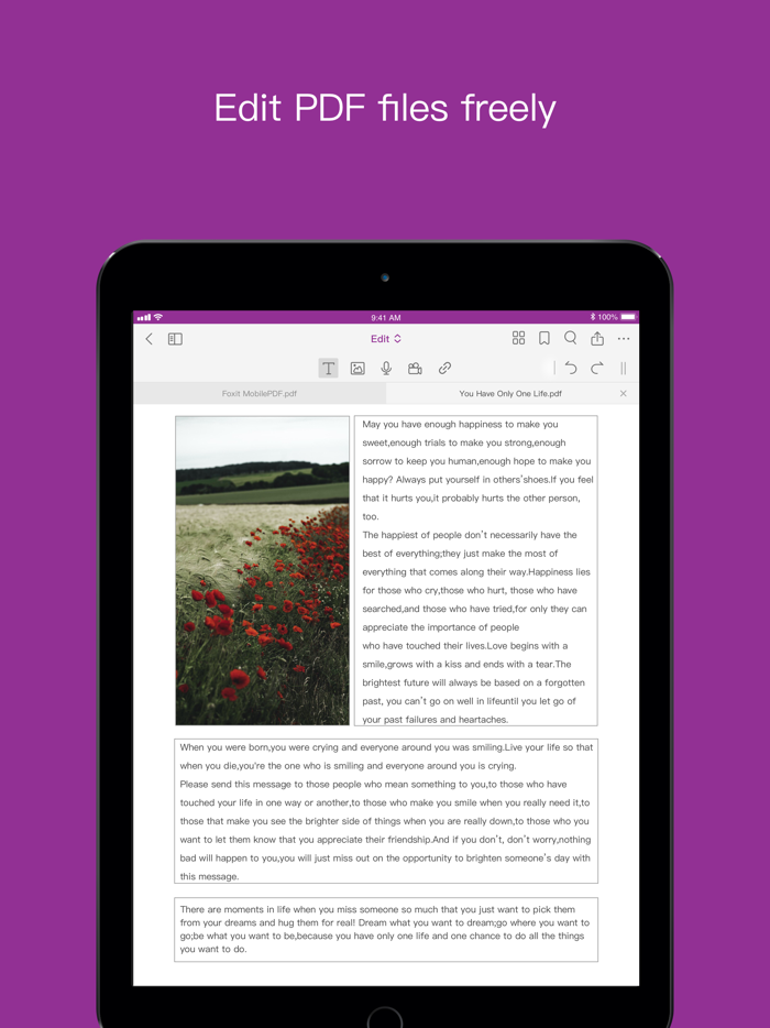 Foxit PDF Editor日本語版
