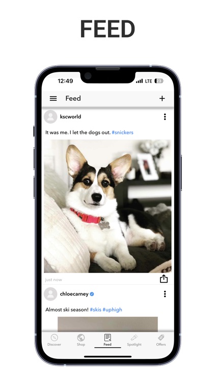 PawWire screenshot-4