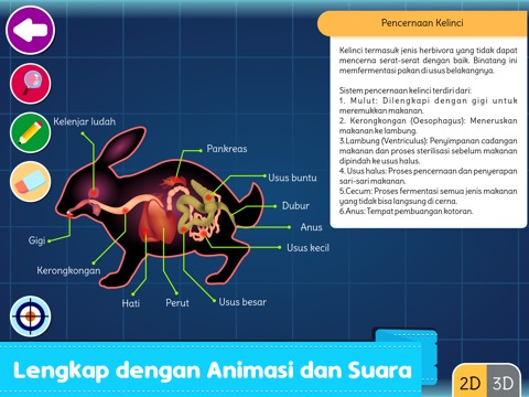 Marbel Sains : Anatomi Hewanのおすすめ画像5