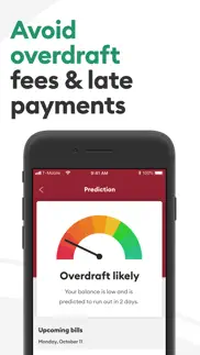 brigit: fast cash advance iphone screenshot 4