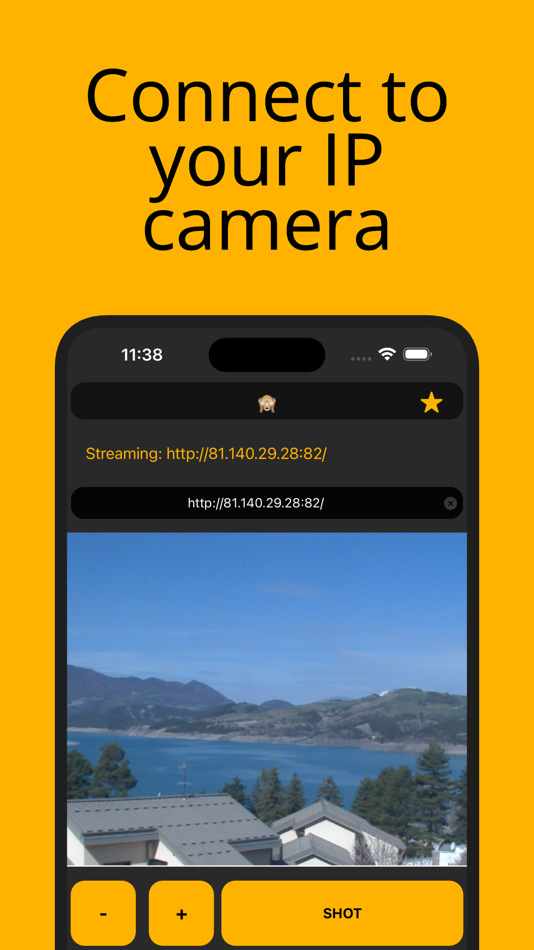 RIC: IP Camera Viewer Aрр - 1.0.10 - (iOS)