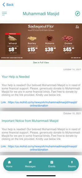 Game screenshot Muhammadi Masjid hack