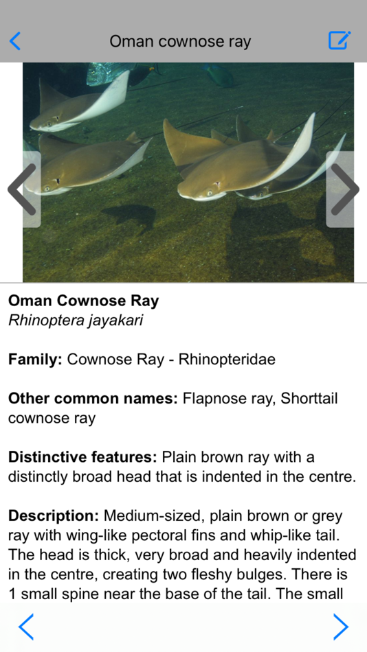 #7. Coastal Fishes (iOS) 由: mydigitalearth.com