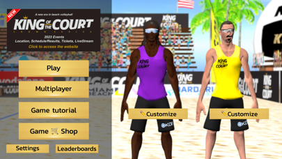 King of the Court Beach Volley Screenshot