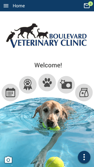 Boulevard Vet Clinic Screenshot