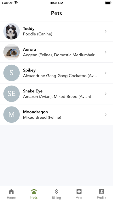 PetCare by DaySmart Vet Screenshot