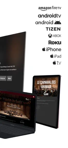 Game screenshot CueTV hack