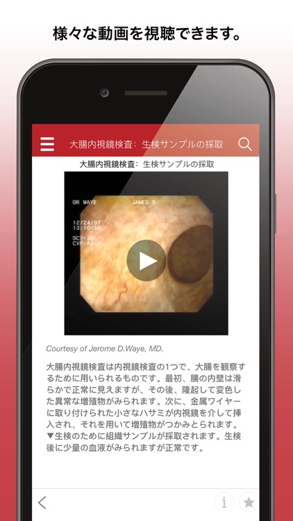 MSDマニュアル家庭版