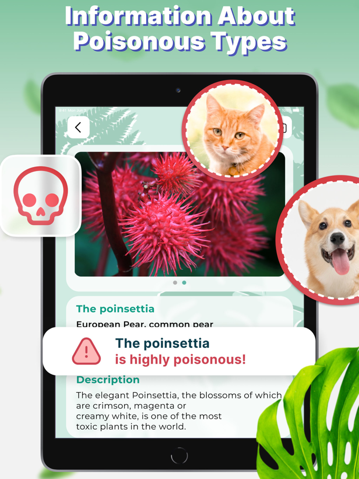 Plant Identifier and Finder App