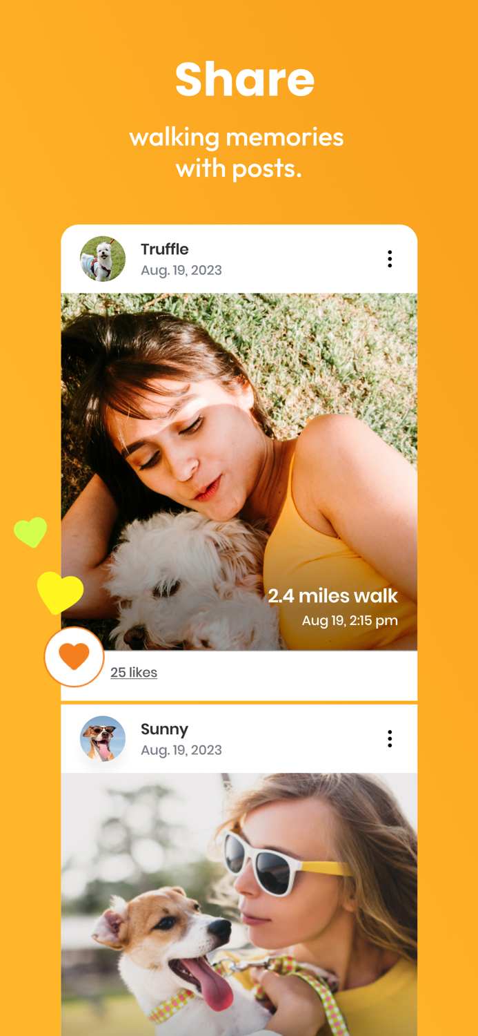 BERO - Dog Walking and Social