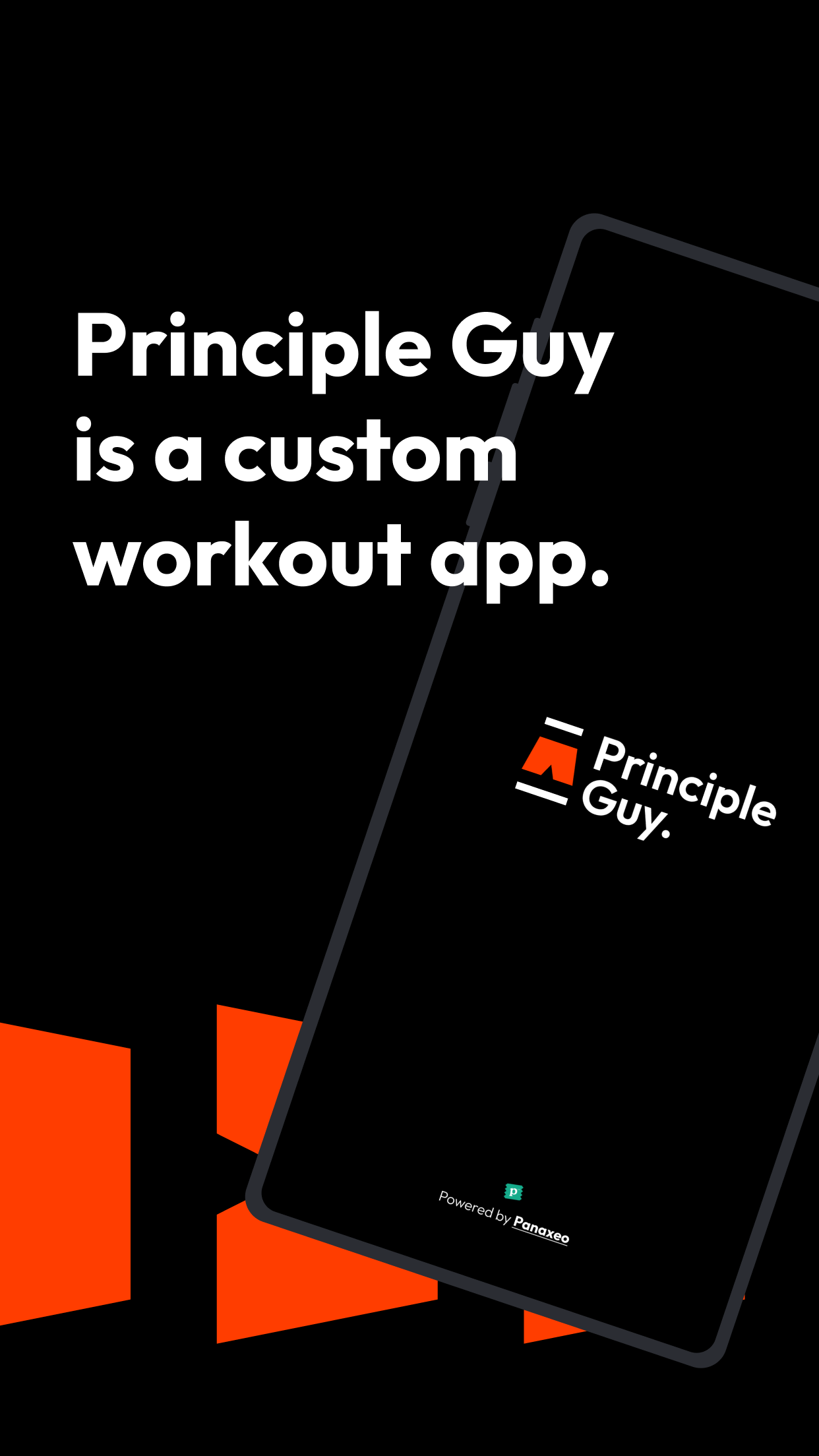 Principle Guy