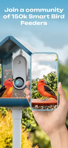 Game screenshot Bird Buddy: Tap Into Nature mod apk