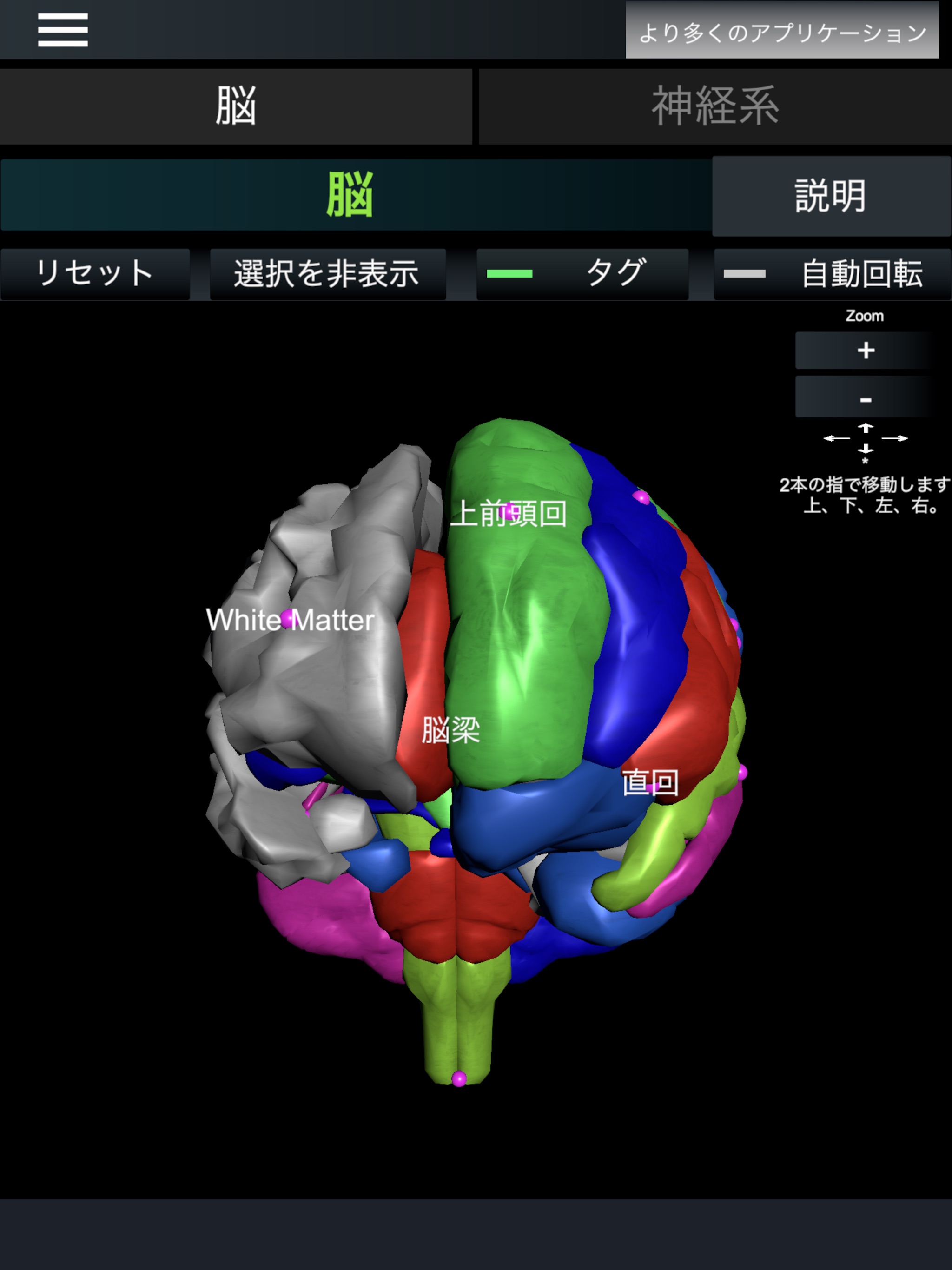 脳と神経系 (解剖学)のおすすめ画像1