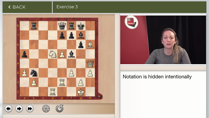 Making decisions in chess