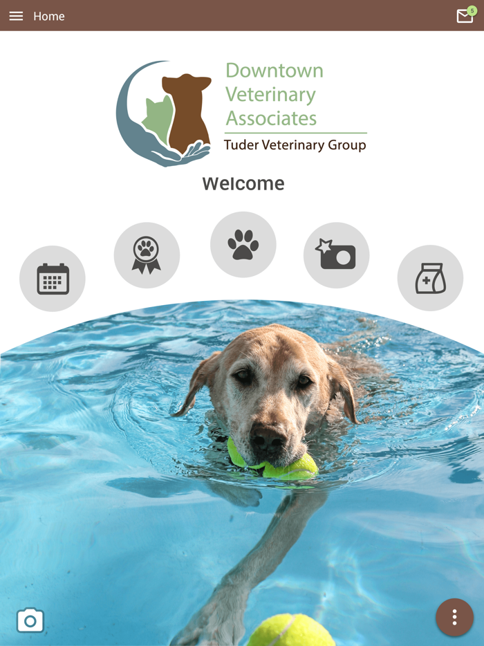 Downtown Veterinary Assoc