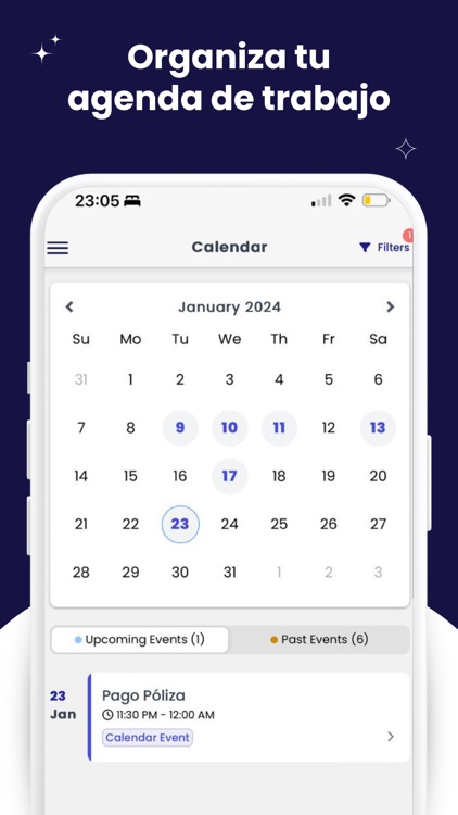 Apizeal screenshot-6
