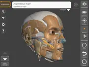 sanatçı için 3d anatomi ipad resimleri 1