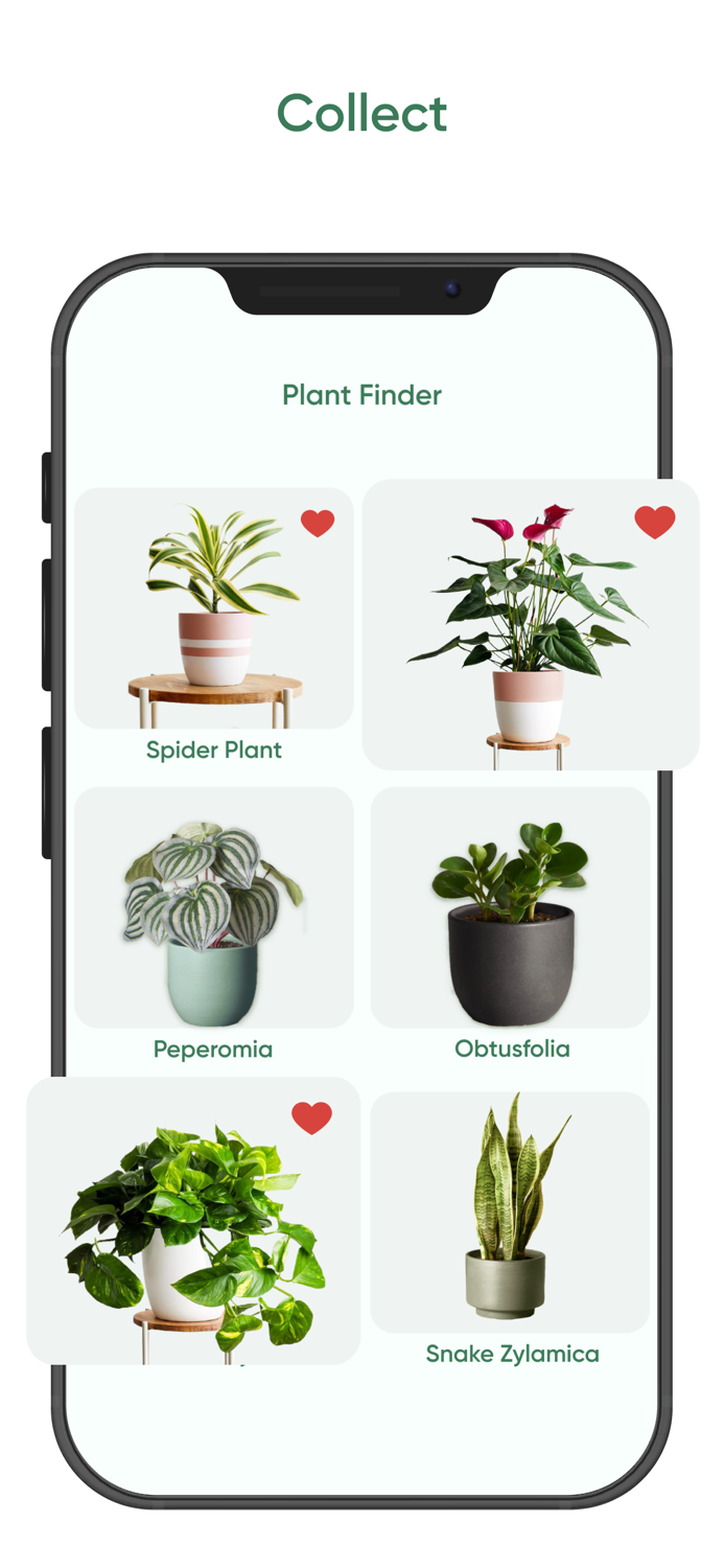AI Plant Care - Plant Identify