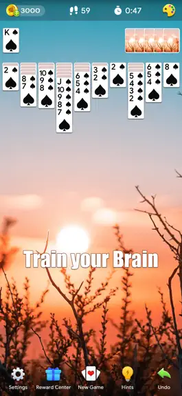 Game screenshot Spider Solitaire -- Card Game hack