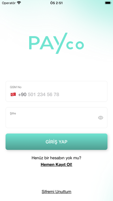 PAYco Screenshot