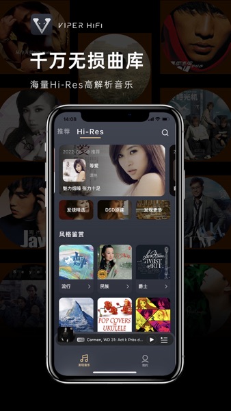 【图】VIPER HiFi-音乐发烧神器APP(截图2) 【图】VIPER HiFi-音乐发烧神器APP(截图2)