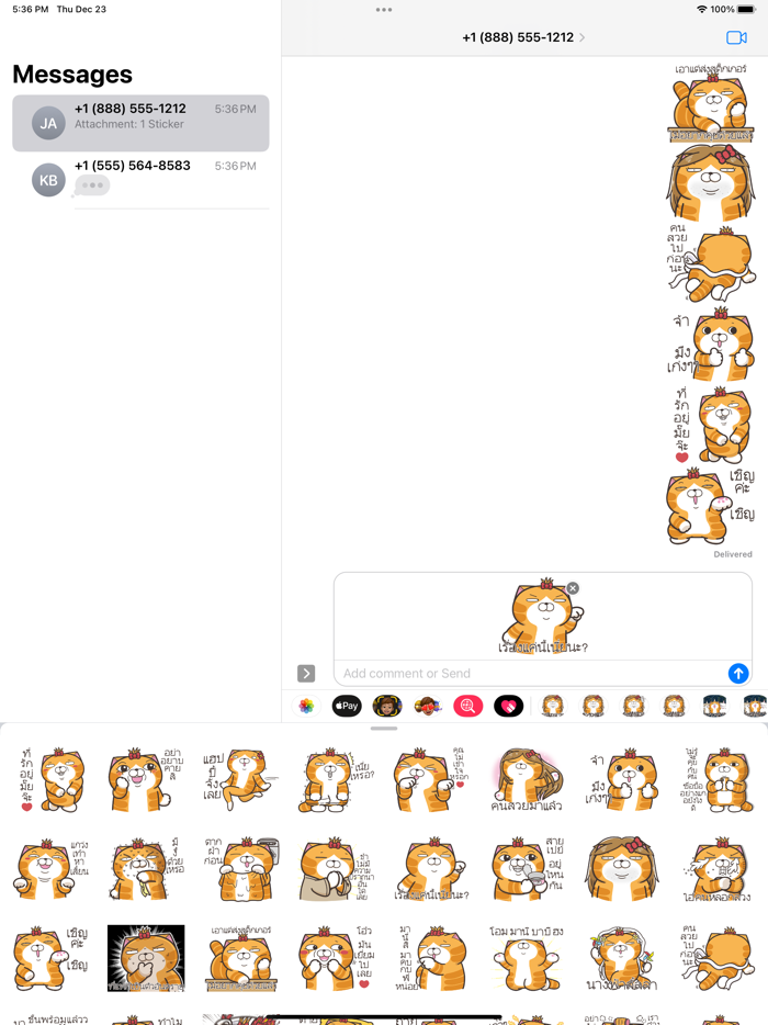 Lan Lan Cat 24 Thailand