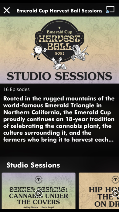 ALTRD.TV Screenshot