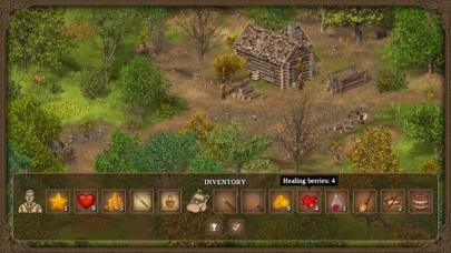 Hero of the Kingdom: Tales 1 Screenshot