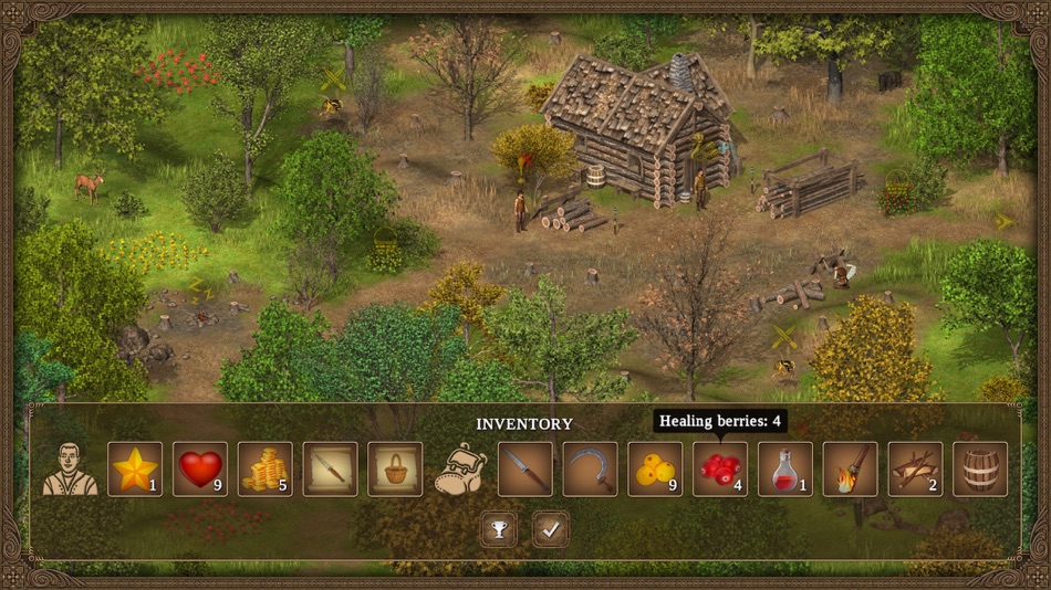 #4. Hero of the Kingdom: Tales 1 (macOS) 由: Lonely Troops