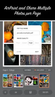 picoala: photo layout & print iphone screenshot 1
