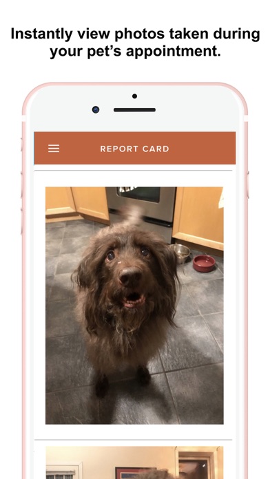 Another Dog Walker Screenshot